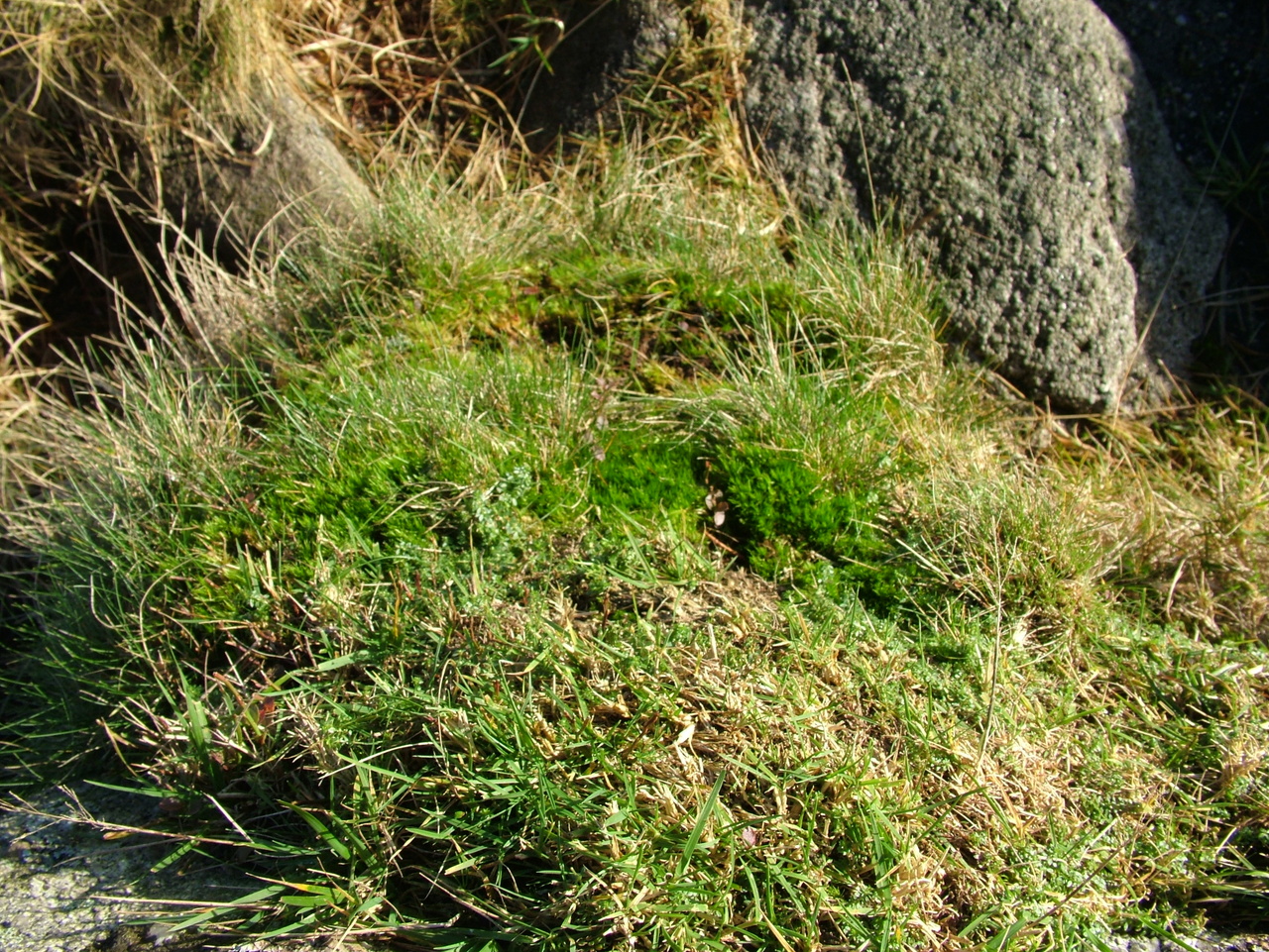 Keywords: TwoSHeds;Robin;Camping;Winter;2006;Dartmoor