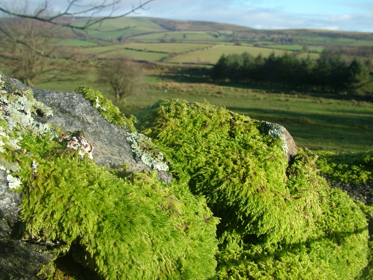 Keywords: TwoSHeds;Robin;Camping;Winter;2006;Dartmoor